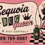 Sequoia Bug Queen