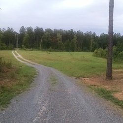 Brown's Mill Battlefield Park - Huge open space, perfect for an ambush right?  I could absolutely imagine troops emerging from the woods in full attack mode.