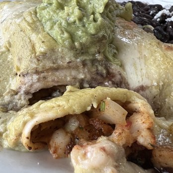 Masa Mexican Kitchen & Cantina - Seafood enchilada - Mexican Near Me - Issaquah, Washington Masa Mexican Kitchen & Cantina - Seafood enchilada - Mexican Near Me - Issaquah, Washington
