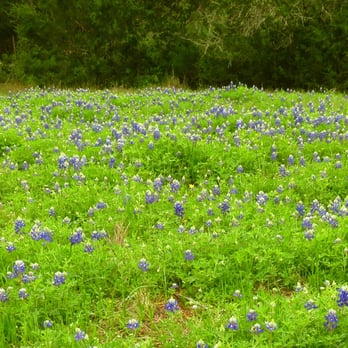 Circle C Metropolitan Park - Hiking Near Me - Austin, Texas