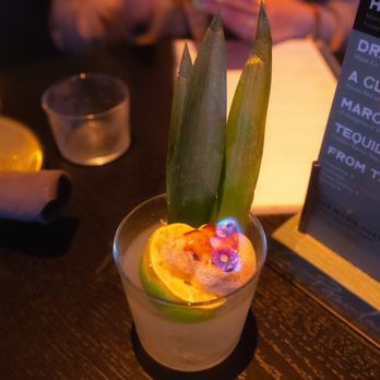 La Popular - Yucatán Toucan - Cocktail Bars Near Me - Claremont, California