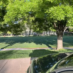 Nisson Park - Grass & Large Trees at Nisson Park