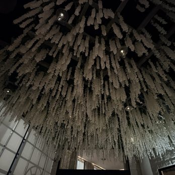 Zakia Modern Lebanese - Ceiling - Wine Bars Near Me - Atlanta, Georgia Zakia Modern Lebanese - Ceiling - Wine Bars Near Me - Atlanta, Georgia