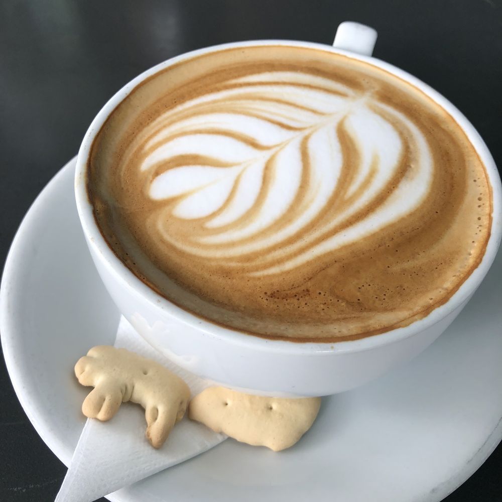 Open City - Latte - American Near Me - Washington, DC, District of Columbia Open City - Latte - American Near Me - Washington, DC, District of Columbia