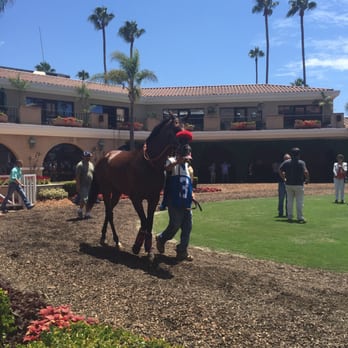 Del Mar Racetrack - Thoroughbreds getting ready for the first race of the day. - Race Tracks Near Me - Del Mar, California Del Mar Racetrack - Thoroughbreds getting ready for the first race of the day. - Race Tracks Near Me - Del Mar, California