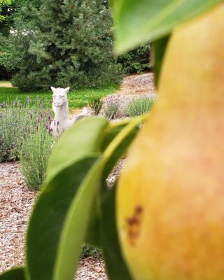 Dragon's Gate Brewery