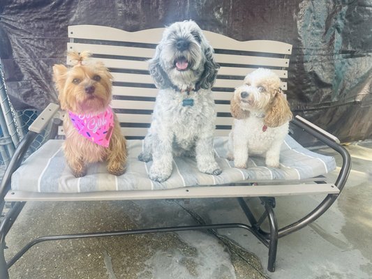 DoGone Fun Resort by null