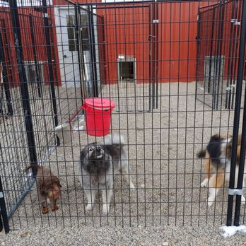 bed & biscuit kennel