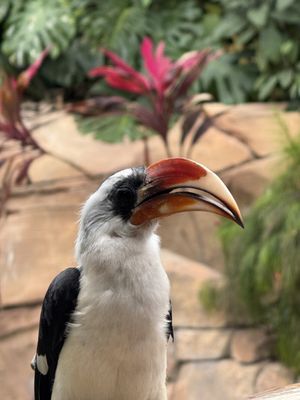 Discovery Cove by null