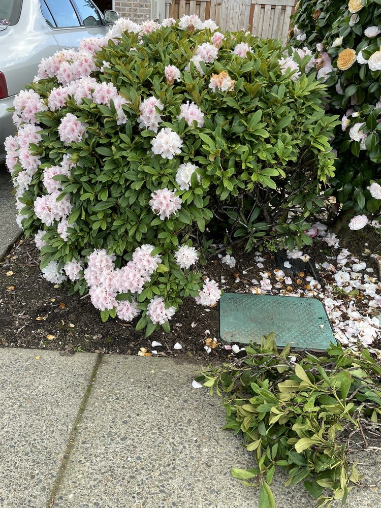 Slide of Northwest Backflow Inspection and Testing Services