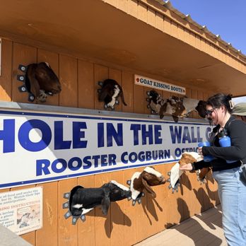 Rooster Cogburn Ostrich Farm - Feed a goat, kiss a goat! LOL - Petting Zoos Near Me - Picacho, Arizona Rooster Cogburn Ostrich Farm - Feed a goat, kiss a goat! LOL - Petting Zoos Near Me - Picacho, Arizona