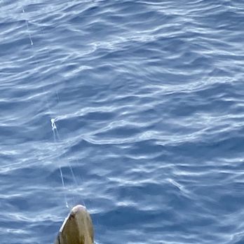 Sashimi Fun Fishing - Hooked - Fishing Near Me - Honolulu, Hawaii