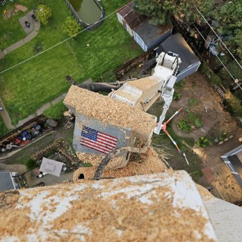 Anderson Tree Service - Tree Services Near Me Anderson Tree Service - Tree Services Near Me