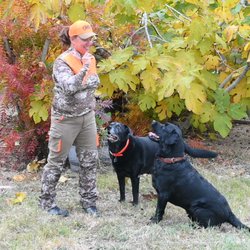 Greenhorn Outfitter