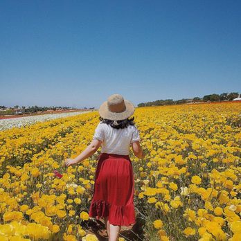 The Flower Fields - in the field - Venues & Event Spaces Near Me - Carlsbad, California The Flower Fields - in the field - Venues & Event Spaces Near Me - Carlsbad, California