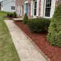Reliable Lawn Care Services