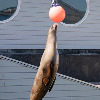 Ocean World - Aquariums Near Me - Crescent City, California