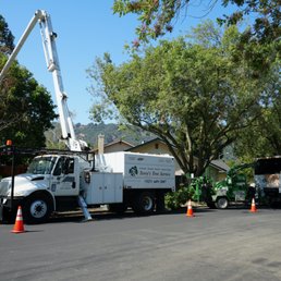Terry's Tree Service Reviews | Read Customer Service Reviews of ...