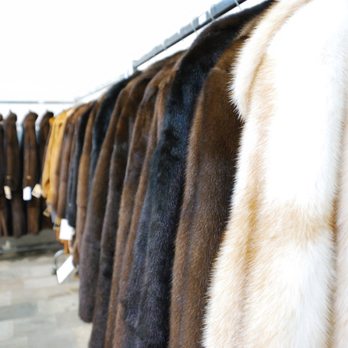 Swan Cleaners - Fur Conditioning, Repair and Storage - Dry Cleaning Near Me - Columbus, Ohio Swan Cleaners - Fur Conditioning, Repair and Storage - Dry Cleaning Near Me - Columbus, Ohio