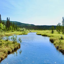 Denali National Park and Preserve