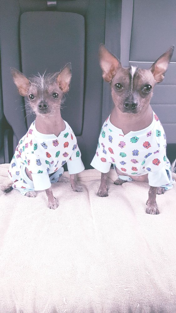 4 PAWS VETERINARY SERVICES Updated September 2024 18 Reviews