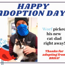 Bitter Root Humane Association