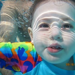 Mischas Fishes