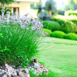MEM Landscaping