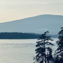 Cape Roger Curtis Lighthouse - Hills, trees, sea. Simplicity.