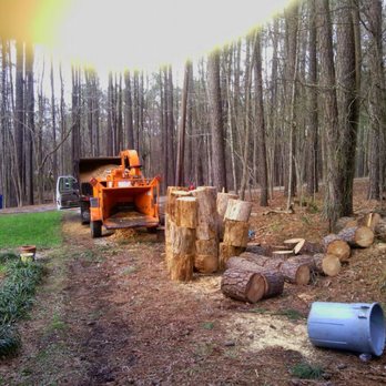 Jerrys Tree & Stump Service - Tree Services Near Me Jerrys Tree & Stump Service - Tree Services Near Me