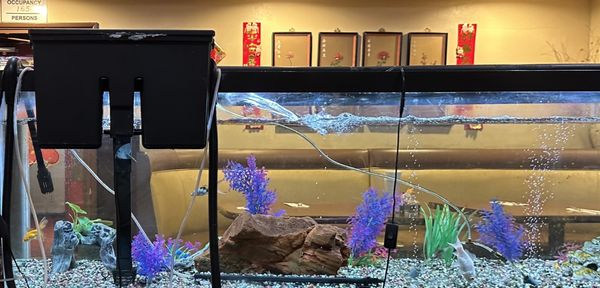 Great Castle Chinese Restaurant by null