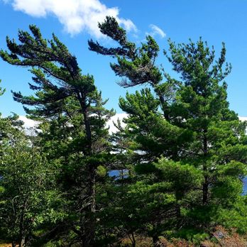 Short Trips Bus Tours & Weekend Getaways - Bus Tours Near Me - Toronto, Ontario Short Trips Bus Tours & Weekend Getaways - Bus Tours Near Me - Toronto, Ontario