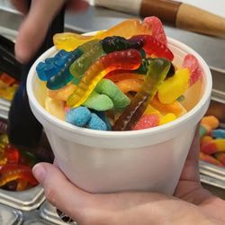 406 Frozen Yogurt - Gummi Central!