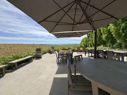 Long Shadows Winery by null