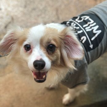 Petco - Maka - Pet Stores Near Me - Honolulu, Hawaii