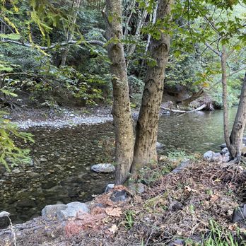 Big Sur Campground and Cabins - Beautiful and relaxing creek - Campgrounds Near Me - Big Sur, California