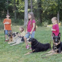 K-9 Academy - The kids have the dogs on a "down" and are listening for instruction from Tony