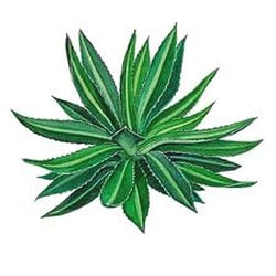 Pro Garden Supply - Pro Garden Supply