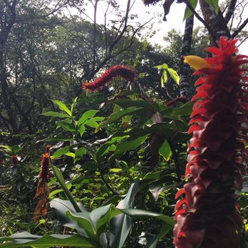 Twin Falls Trail - Hiking Near Me - Haiku, Hawaii