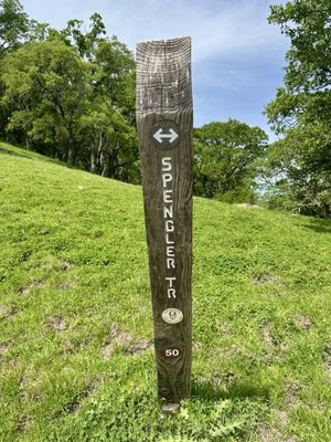 Briones Regional Park by null
