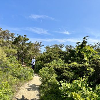 Nauset Light Beach - Beaches Near Me Nauset Light Beach - Beaches Near Me
