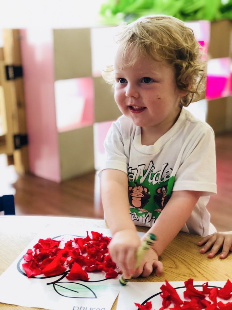 MUSTARD SEED ACADEMY 11 Photos Language Schools 1115 South Saint