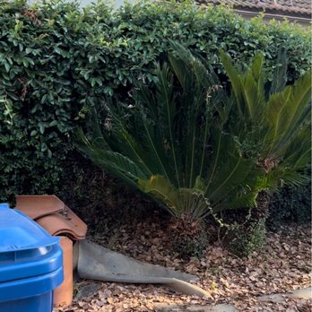 SGV Gardener - Front house - Gardeners Near Me SGV Gardener - Front house - Gardeners Near Me