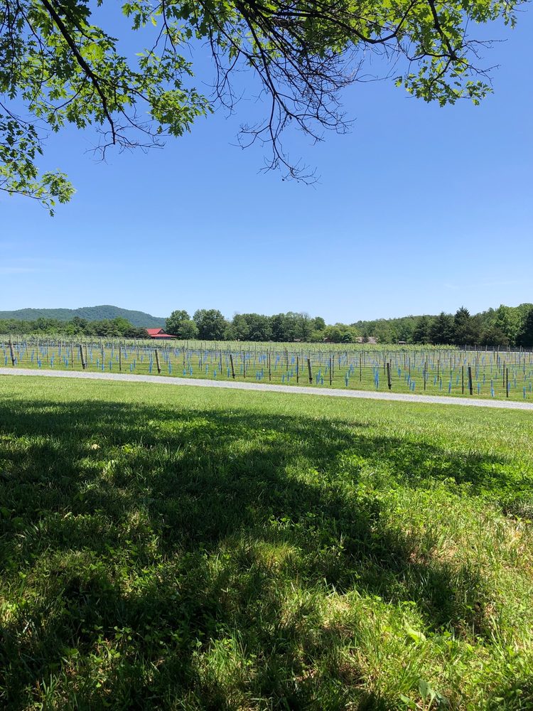 White Hall Vineyards - vineyard in Crozet, VA