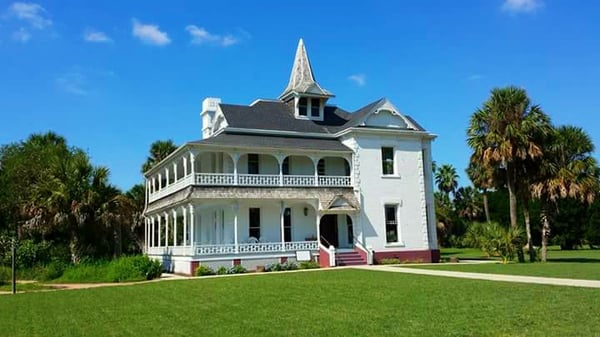 Sabal Palm Sanctuary by null