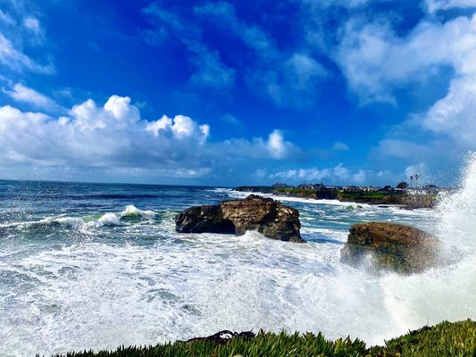 Natural Bridges State Beach by null