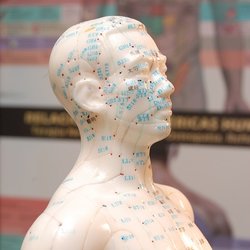 Acupuncture & Natural Therapies/ Melanie Myers - Acupuncture Meridian Pathways