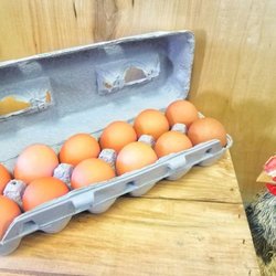 Pasture Raised - Farm Fresh Eggs!