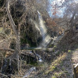 Gorman falls