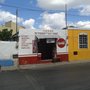 Photo of El tronco del árbol